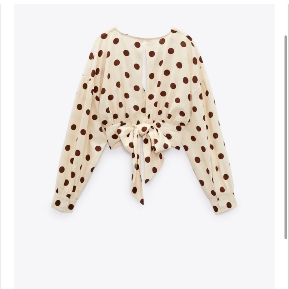 Zara Polka Dot Top